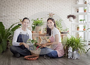 Hermoso retrato joven asiático una mujer a lindo hombre cosecha a cosecha arriba fresco plantas en macetas planta jardín. feliz el propietario la ropa un delantal 