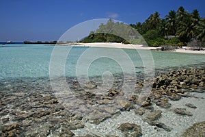 Asia,Maldive, coral reef at Asdu