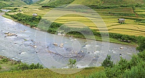 Asia rice field by harvesting season in Mu Cang Chai district, Yen Bai, Vietnam. Terraced paddy fields are used widely in rice, wh
