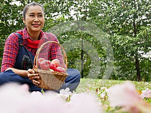 Asia senior woman smile portrait and holding red apple in garden park.