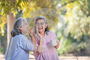 Asia senior women bonding relationship and people concept