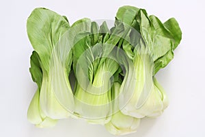 Asia vegetable Bok Choy