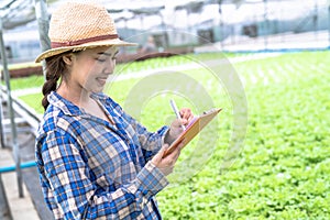 Asia woman farmer inspecting the quality of organic vegetables grown using hydroponics.