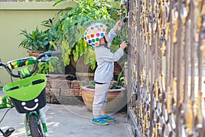 Asian 2 - 3 years old toddler boy child wearing safety helmet near his bike, Kid reaching up try to open gate of the house