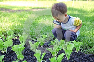 Asian 2 - 3 years old toddler boy kid exploring environment by looking through a magnifying glass in sunny day