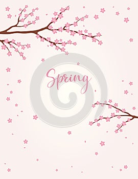 Asian background with sakura, cherry blossoms