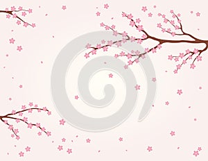 Asian background with sakura, cherry blossoms