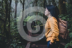 Asian backpacker looking at view in rain forest nutural trail.banner mock up leave copy space for adding text
