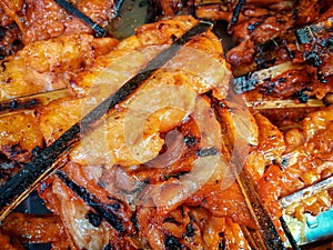 Asian Barbecued Chicken Breast with Wooden Sticks