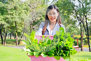 Asian beautiful business woman show the basket of vegetable and present in front of her that relate to green business concept