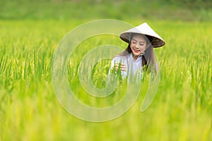 Asian beautiful women farmer harvesting green rice fields on terraced in Thailand.