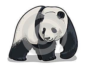 Asian big panda walking isolated in cartoon style. Educational zoology illustration, coloring book picture