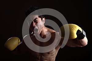 Asian boxer punching and yelling