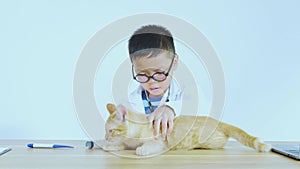 Asian boy dressed as a doctor is treating a cat