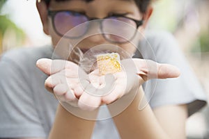 Asian boy eating smoking canny happily