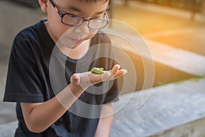 Asian boy holding worm caterpillar.