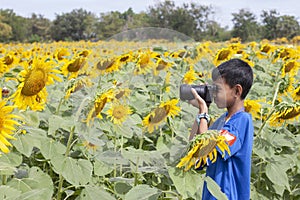 Asian boy learning to take pictures while traveling to sunflower fields.