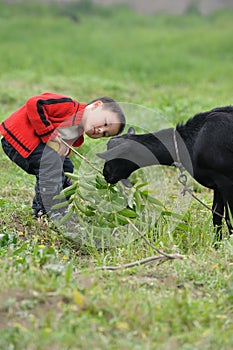 Asian boy looking black goat