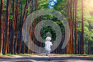 Asian boy running in the middle of the pine tree tunnel road in Chiang Mai Province, Thailand