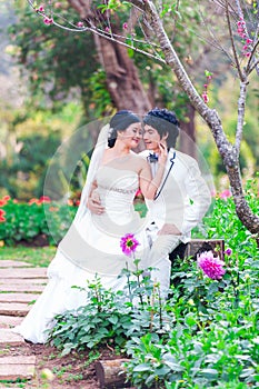Asian Bride and Groom on Natural Background