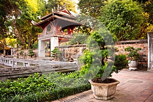Asian building with traditional bonsai tree in Hanoi, Vietnam