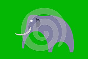 Asian bull elephant with tusks logo