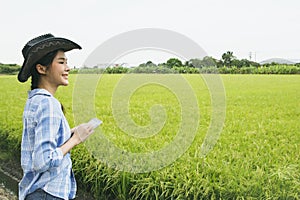 Asian businesswoman, agriculture business Looking at the rice fields with pride.