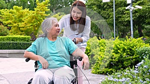 Asian careful caregiver or nurse taking care of the patient in a wheelchair.  Concept of happy retirement with care from a