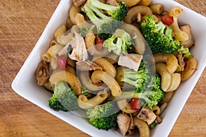 Asian chicken macaroni noodle meal