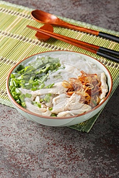 Asian chicken noodle soup with fried onions, green onions and cilantro close-up in a bowl. Vertical