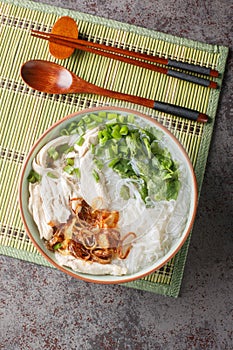 Asian chicken noodle soup with fried onions, green onions and cilantro close-up in a bowl. Vertical top view