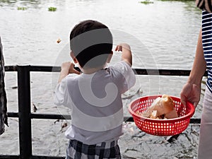 Asian child boy feeding bread to fish at pond. Asian family travel outdoor together.