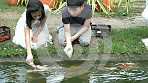 Asian child feeding fishes in a garden pond. Children feed carp Koi fishes from a baby bottles with a special liquid fish food.