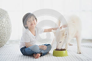 Asian child feeding siberian husky dog