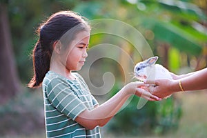 Asian child girl getting adorable bunny from her mother hand and she  playing and caring cute little rabbit holland lop