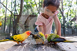 Asian child girl having fun to feed parrot birds in the zoo