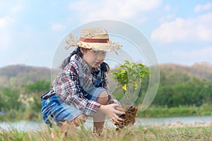 Asian Child girl plant sapling tree in the nature spring for reduce global warming growth feature