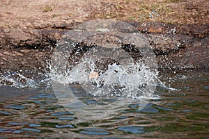 Asian child girl playing water and drowning in the in the river