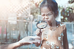 Asian child girl using magnifying glass watching beetle larvae