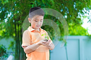 Asian child holding young seedling plant in hands, in garden, on