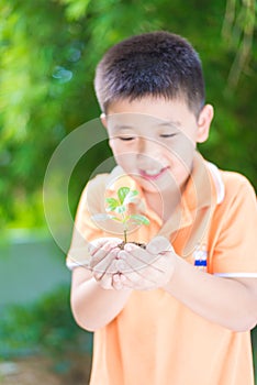 Asian child holding young seedling plant in hands, in garden, on