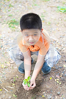 Asian child holding young seedling plant in hands, in garden, on