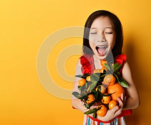 Asiatico camicetta. cercando lui si chiedeva possesso braccia da mandarini un arance posa sul arancia. da vicino 