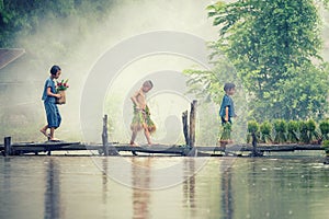 Asian children farmer on rice cross the wood bridge before the grown in paddy field