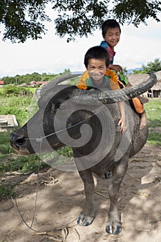 Asian children ride on water buffalo