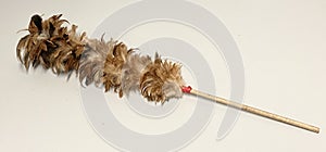 Asian China Chicken Feather Duster Dusters Dust Swipe Brush Cleaner Law Order Governance Whip Punishment Tool Panelty