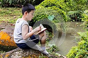 Asian Chinese little boy reading book in the park