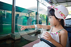 Asian Chinese little girl eating ice cream and watching fishes