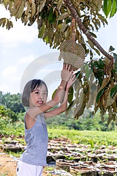 Asian Chinese Little Girl holding durian on the farm