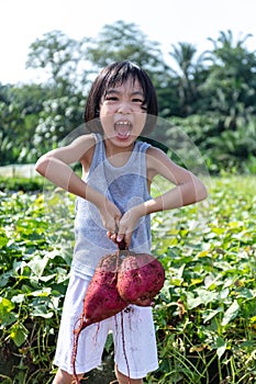 Asian Chinese Little Girl holding purple potato in organic farm